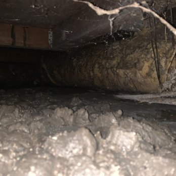 All Action Water Damage - More mud. - Damage Restoration Near Me - Burlingame, California All Action Water Damage - More mud. - Damage Restoration Near Me - Burlingame, California