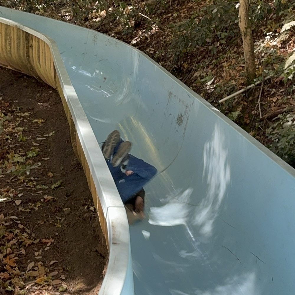 Koinonia Conference Grounds - Weeeeeee - Campgrounds Near Me - Watsonville, California