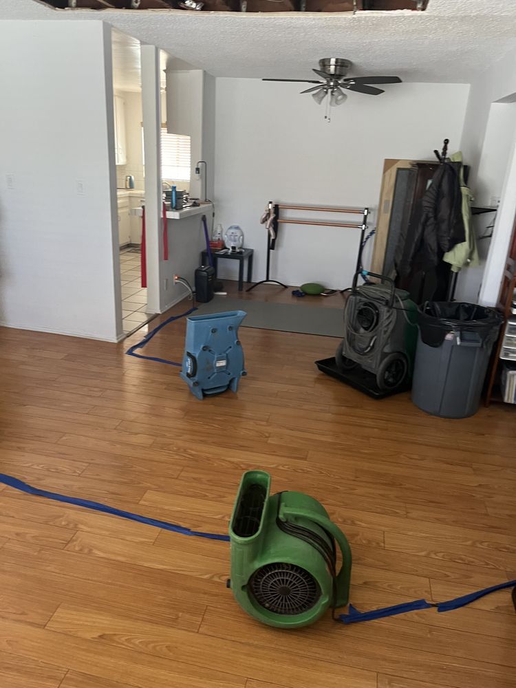 R3 Emergency Services - mold inspector in Hawthorne, CA