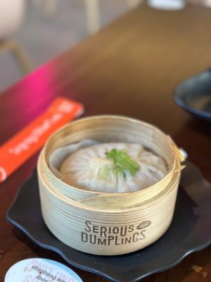 Serious Dumpling by null