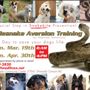 Natural Solutions - Rattlesnake Aversion Training for Dogs