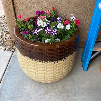 Moon Valley Nurseries - Nurseries & Gardening Near Me - Phoenix, Arizona