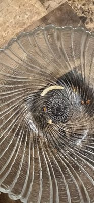 Cloves Indian Groceries & Kitchen by null