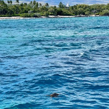 Ocean Sports - Snorkeling Near Me - Waikoloa, Hawaii Ocean Sports - Snorkeling Near Me - Waikoloa, Hawaii