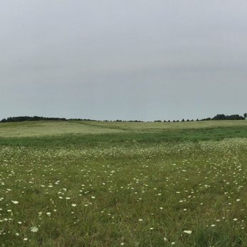 Token Creek Park - Lots of prairie grass and plants. - Dog Parks Near Me - DeForest, Wisconsin
