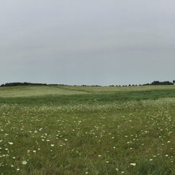 Token Creek Park - Lots of prairie grass and plants.