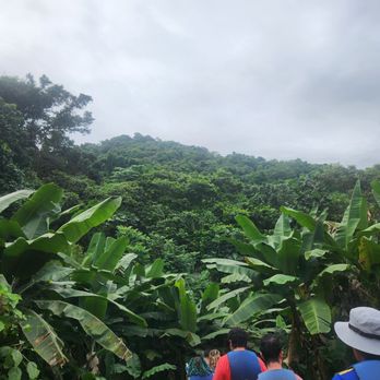 El Yunque Rainforest - Hiking Near Me - Luquillo, Puerto Rico El Yunque Rainforest - Hiking Near Me - Luquillo, Puerto Rico