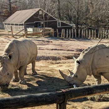 Metro Richmond Zoo - Rhinos - Zoos Near Me - Moseley, Virginia