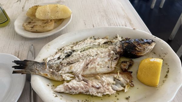 Telly's Taverna by null