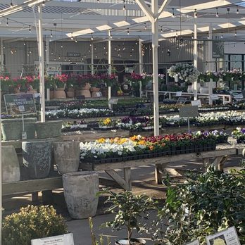 North Haven Gardens - Nurseries & Gardening Near Me - Dallas, Texas North Haven Gardens - Nurseries & Gardening Near Me - Dallas, Texas