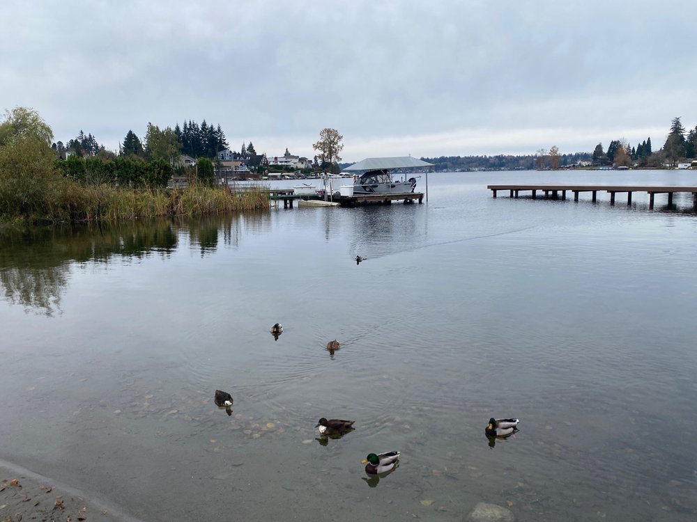 NORTH COVE PARK 21 Photos Lake Stevens, WA Yelp