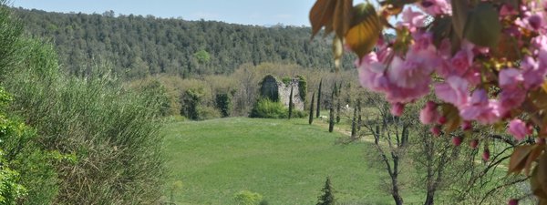La Tenuta del Gallo by null