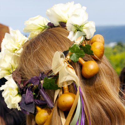 Gourdlandia by null