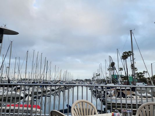 Schooner Or Later by null
