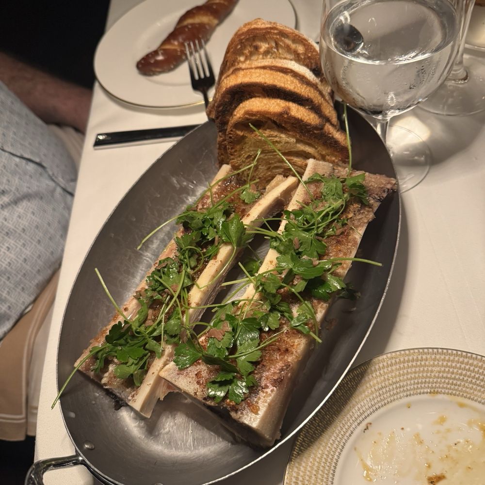 bone marrow bone marrow
