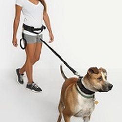 Larz Dog Products