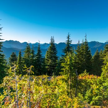 Mount Seymour Provincial Park - Hiking Near Me Mount Seymour Provincial Park - Hiking Near Me