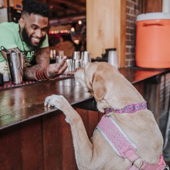 Boxcar Bar + Arcade - Patio Bar (free treats for dogs!) - Bars Near Me - Raleigh, North Carolina Boxcar Bar + Arcade - Patio Bar (free treats for dogs!) - Bars Near Me - Raleigh, North Carolina