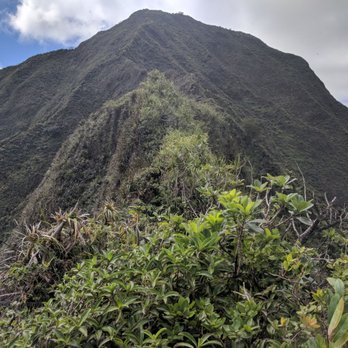 Nu'uanu Pali State Wayside - Rudged - Parks Near Me