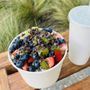 Photo of Miami Bowls