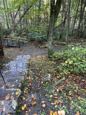 Babcock State Park by null