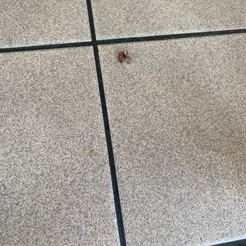 Del Taco - This roach crawled up my leg - Mexican Near Me - Modesto, California Del Taco - This roach crawled up my leg - Mexican Near Me - Modesto, California