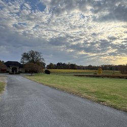Shadow Springs Vineyard - Driveway