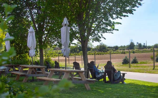 Suhru & Lieb Vineyards by null