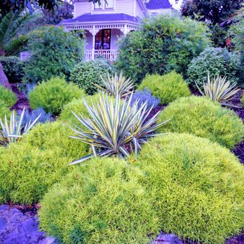 Prado's Landscaping - Landscaping Near Me Prado's Landscaping - Landscaping Near Me