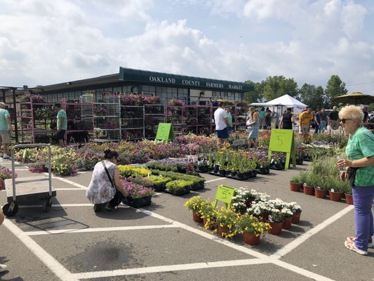 Oakland County Farmer's Market by null
