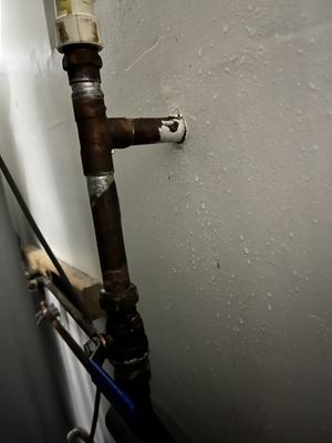 Netzel Plumbing Logo