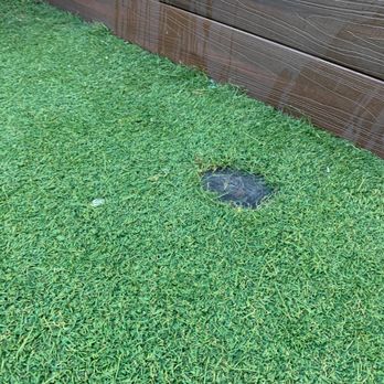 Pro Green - Landscaping Near Me Pro Green - Landscaping Near Me