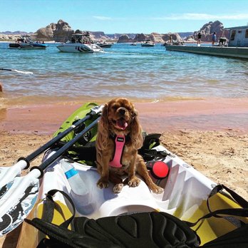Lake Powell Adventure Co - Rafting/Kayaking Near Me - Page, Arizona