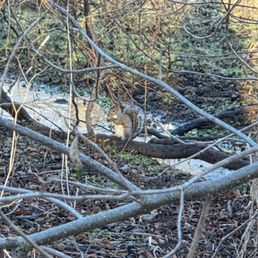 LeTort Spring Run Nature Trail - Hiking Near Me - Carlisle, Pennsylvania