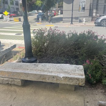 Piccino Coffee Bar - Benches outside - Coffee & Tea Near Me - San Francisco, California