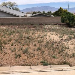 Albuquerque Landscapes - Before