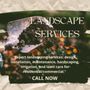 Photo of Gardening service and construction