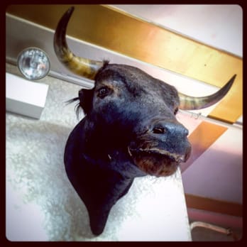 Don Pedro Carnitas - Love this place! - Meat Shops Near Me - Chicago, Illinois