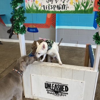 Unleashed Hounds and Hops - Bars Near Me - Minneapolis, Minnesota