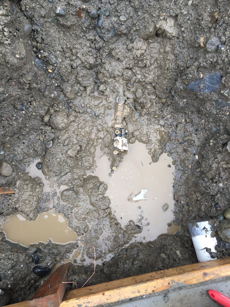 Slide of A+ Backflow
