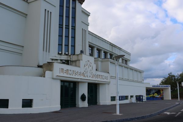 Biarritz Aquarium by null