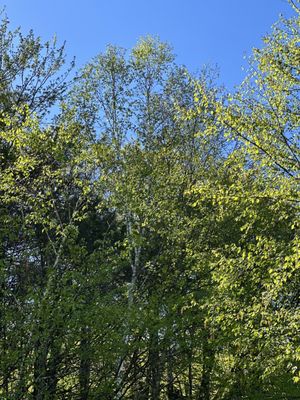 Pioneer Valley RV Campground by null