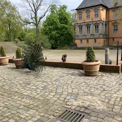 Schloß Rheydt - Schloss Rheydt