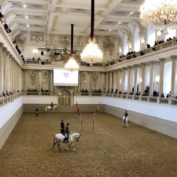 Spanish Riding School - Practicing - Performing Arts Near Me - Vienna, 9