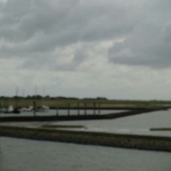 Moby Dick - Seafood Near Me - Baltrum, NI