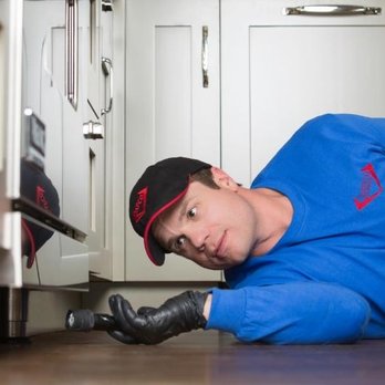 Japco Pest Control - Pest Control Near Me - Edmonton, Alberta Japco Pest Control - Pest Control Near Me - Edmonton, Alberta
