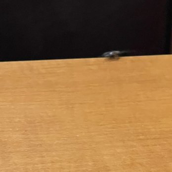 Salata - Roach - Salad Near Me - Houston, Texas
