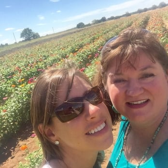 Becker Vineyards - Nice pavilion with a breeze to enjoy your wine overlooking a field of zinnias & vineyard. You can bring your own cheese/snacks. - Wine Tasting Room Near Me - Fredericksburg, Texas