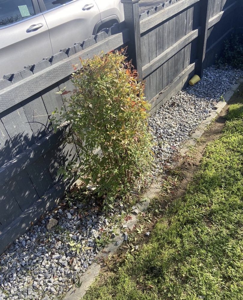 Slide of Richards Beards and Mowers landscaping