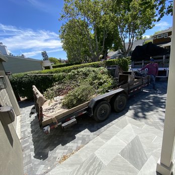 Urban Tree Farm Nursery - Nurseries & Gardening Near Me - Fulton, California